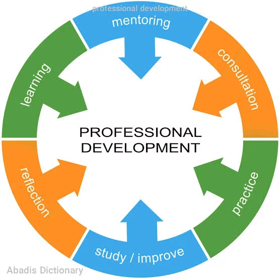 professional development